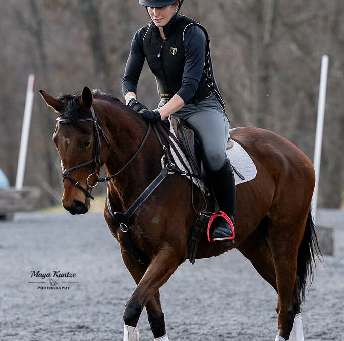Out of Paynt – OTTB mare