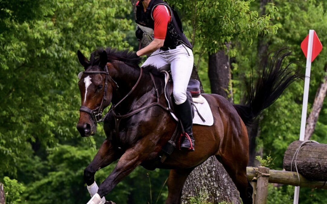 Frankly Speaking – OTTB mare