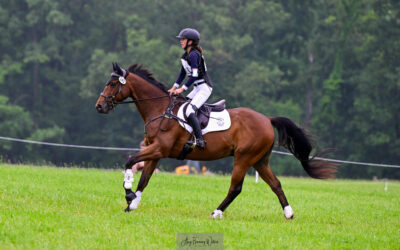 Truly a Moon Shot – OTTB gelding